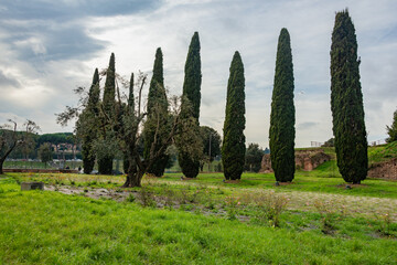 arch of constantine in rome italy renaissance art hisoty in italy europe and roman empire with olive trees and roman ruins