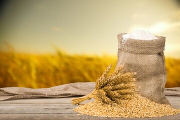 White rice and paddy rice with rice field nature background.