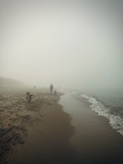 plaza z psem nad morzem we mgle latem