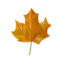 Halloween Watercolor