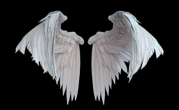Angel Wings Images – Browse 308,638 Stock Photos, Vectors, and