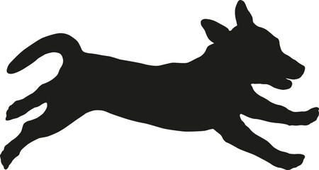 Running and jumping jack russell terrier puppy. Black dog silhouette. Pet animals. Isolated on a white background.