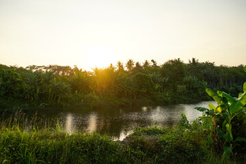 evening atmosphere on the river surrounded by banana trees
