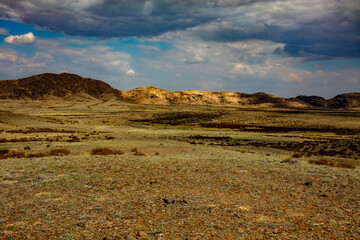 desert landscape in state country
