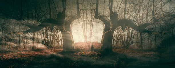 old trees, magical portal to fantasy world