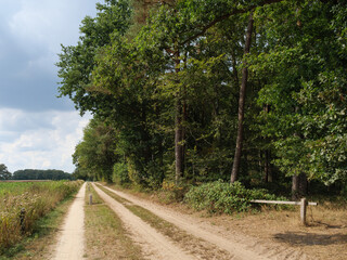 Wandern in den Niederlanden bei Winterswijk