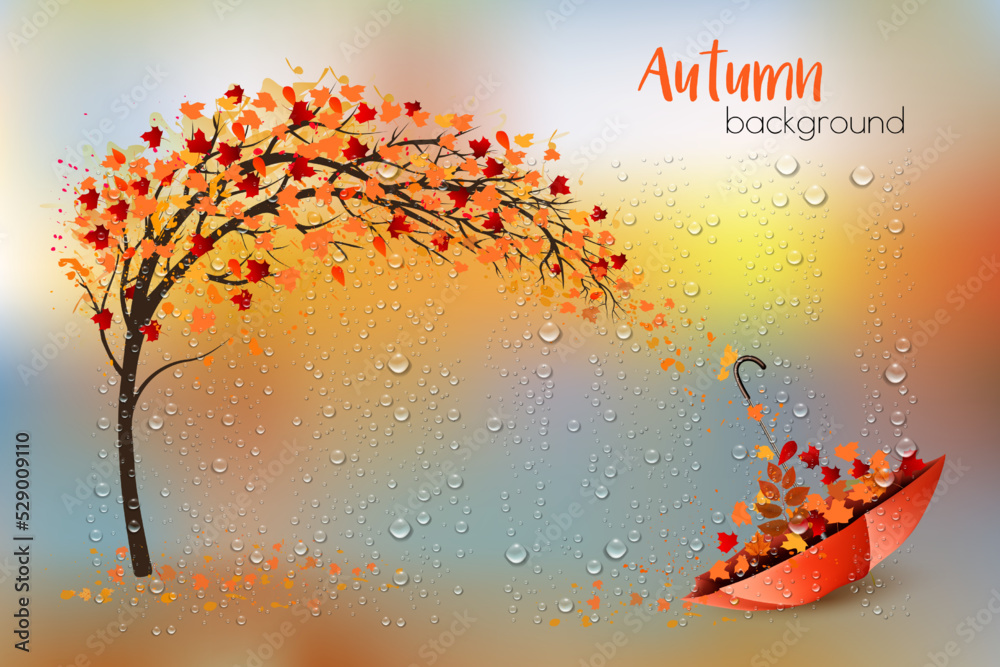 Poster hello a gold autumn. autumn landscape with colorful leaves on the tree and umbrella in a park and ra