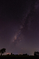 Night starry sky. Milky Way, stars, nebula. Space vertical background. select focus.