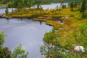 Typische Moor-und Seenlandschaft in Schweden