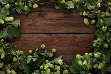 Wooden background. Frame of green hops on rustic old wooden boards. Copy space.