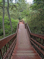 Old wooden stairway in forest, nature trail in reserve. Brown stairs among plants. Cloudy summer day. High quality photo