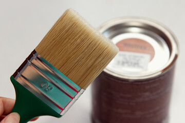 Girl master holds a large thick new brush for applying varnish to furniture against the background of a can of brown varnish. Such a brush paints the surface well and quickly
