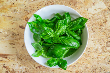 摘みたてのスイートバジル