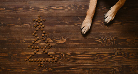 Dog's red paws lying on wooden floor next to dry food laid out in shape of Christmas tree. View from above. The concept of background for pet shop for new year. Top view. - obrazy, fototapety, plakaty