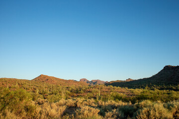 Morning over the Sonora desert in Arizona near Phoenix, Scottsdale and Cave Creek with Sonoran...