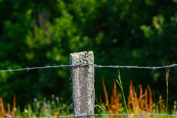 Foreground a wooden post and a barbed wire part of a part of a farm fence, in the background out of focus on the green field and wild flowers and forest in midsummer