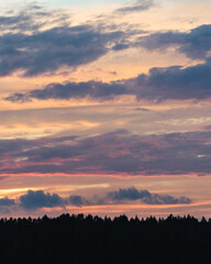 Vertical sunset over trees