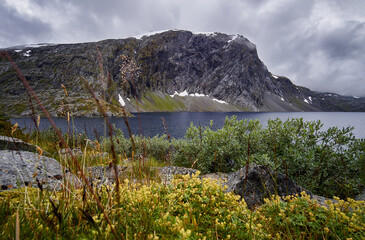 Geiranger, Dalsnibba, Sunnmøre, Stryn, Stranda, Møre og Romsdal, Norway.