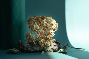 Podium natural wood material on a natural dry autumn leaf in the shade of a green background. Beauty cosmetic wooden display. Layout for exhibitions, products, cosmetics, health.