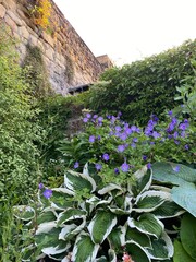 Fototapeta premium Waves crashing