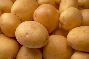 A group of fresh tasty potato as  background.