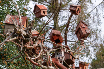 bird houses