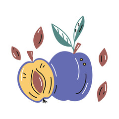 Vector illustration of plums whole and cut with pits. Hand drawn badge and symbol for printing on baby clothes, sticker, textile design.