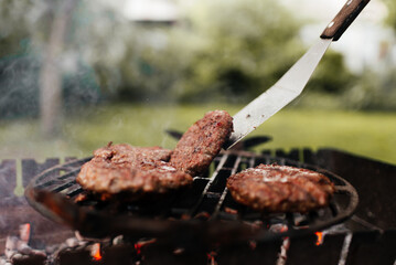 grilled meat on the grill