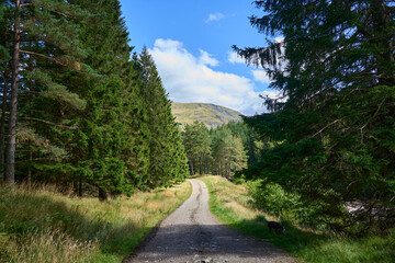 Scottish glen with mountains at the background and a road in a pine forest in a summer