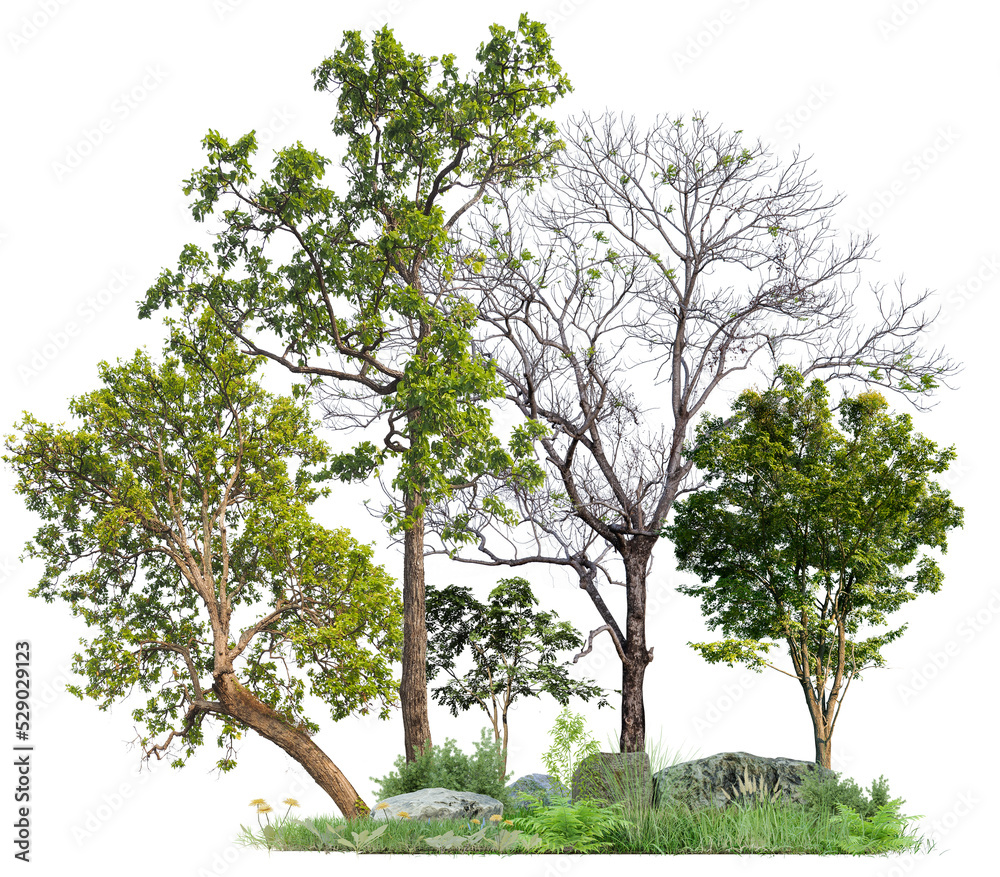 Poster PNG format tree and plant on transparent background design for easy to fast use, small forest and plant for easy to drag and drop on your project