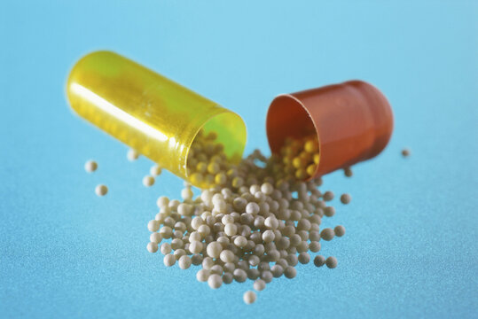 Close-up of an opened capsule