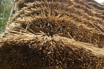Reed Roof Of An Wooden House