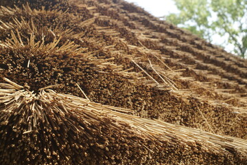 Fototapeta premium Reed Roof Of An Wooden House