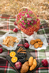 Autumn picnic. Autumn harvest. Banner. Copy space.
