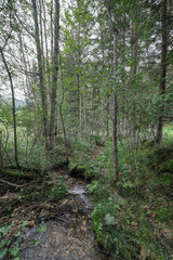 Country landscape in Ramsay am Dachstein plateau, high above Schladming, Styria, Austria