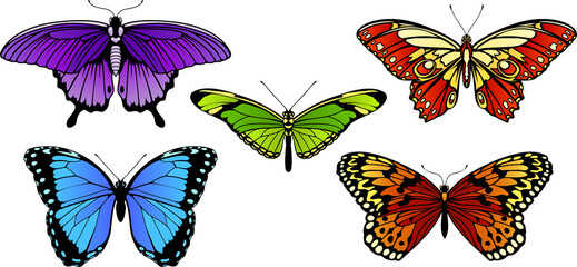 Butterfly Designs Set
