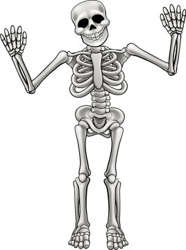 recommend clip art: Cartoon Standing Skeleton