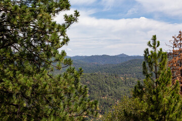 Sierra Nevada mountains