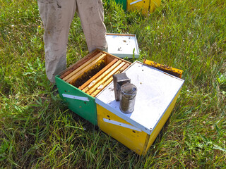 a person works in an apiary with bees extracting honey