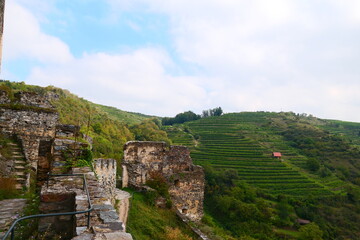 Fototapeta na wymiar Blick aus der Ruine in die Weingärten