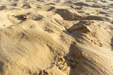 dune sea beach yellow sand close-up as background