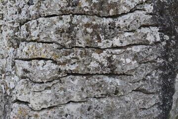 Closeup view of stone covered with lichen as background