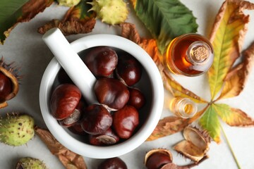 Flat lay composition with fresh horse chestnuts and tincture on grey table