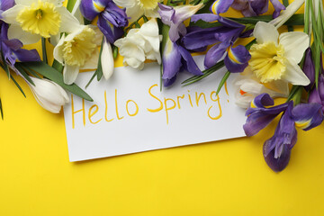 Card with words HELLO SPRING and fresh flowers on yellow background, flat lay