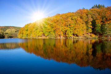 Autumn background with reflection colorful trees in the forest lake.