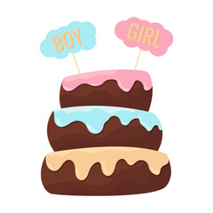 Cake for gender party, boy or girl, sweets, cake with icing