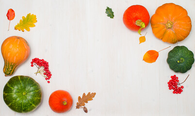 Thanksgiving background with pumpkins  leaves and berries on white.