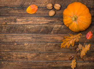 Thanksgiving background with pumpkin  leaves nuts and acorn on wooden background.
