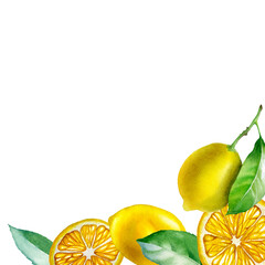 Lemon. Botanical watercolor isolated illustration.