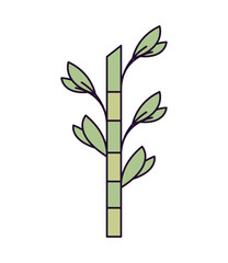 Fototapeta na wymiar bamboo plant icon